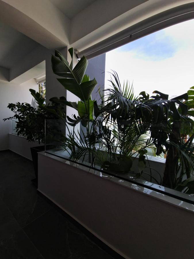 Carisa Deluxe Apartment With Jacuzzi Larnaca Dış mekan fotoğraf