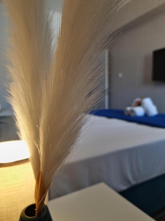 Carisa Deluxe Apartment With Jacuzzi Larnaca Dış mekan fotoğraf